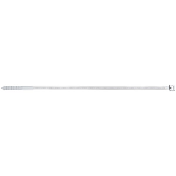Fischer 100x Kabelbinder BN 3,6 x 200 mm transparent - 19802