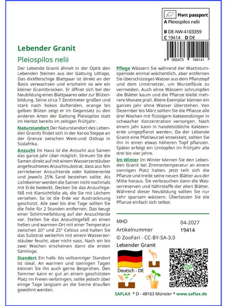 SAFLAX Garden to go - Lebender Granit - Pleiospilos nelii - 40 Samen - Mit Topf, Klima - Deckel und Anzuchtsubstrat