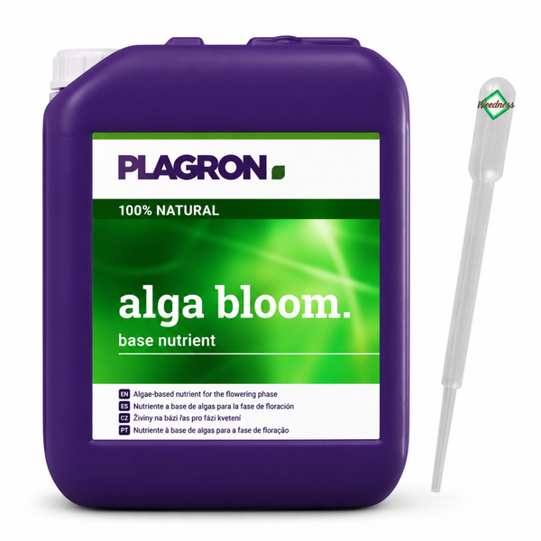 Plagron Alga Bloom Pflanzendünger für die Blütephase in einem Kanister inklusive Pipette