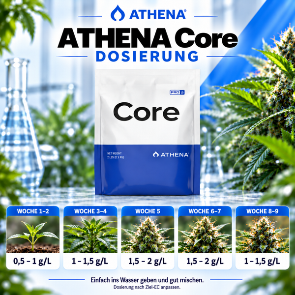 Athena Core Pflanzendünger Verpackung mit Dosierübersicht für verschiedene Wachstumsphasen von Hanfpflanzen