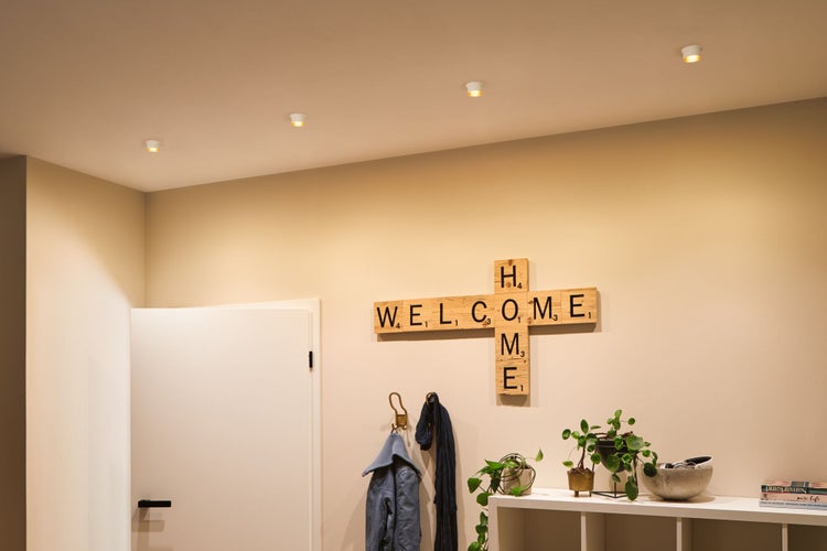 Einbaustrahler an der Decke beleuchten einen hellen Flur mit Wanddekoration aus Holz und Zimmerpflanzen.
