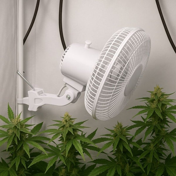 Kleiner weißer Clip-Ventilator an einer Stange befestigt, der Luft über grünen Pflanzen zirkuliert.