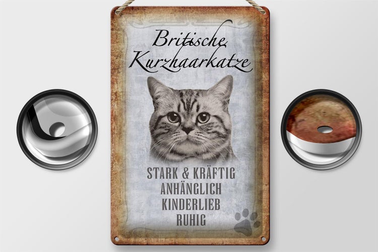Blechschild Spruch 20x30cm britische kurzhaarkatze Schild