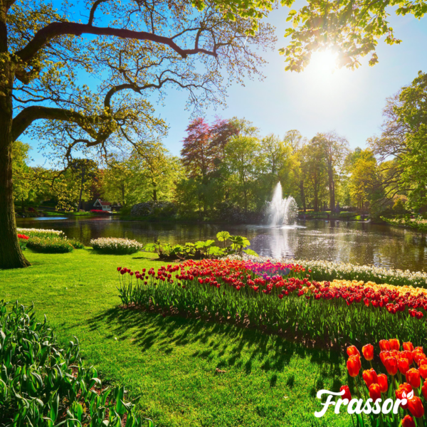 Parklandschaft mit Teich, Springbrunnen und Blumenbeet