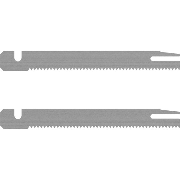 Bio San Marzano Tomaten auf Holzgrund