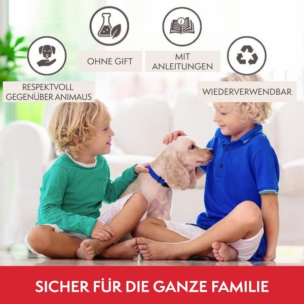 PATTLER® Mausefalle lebend - Extra große Lebendfalle Maus | Tierfreundlich Mäusefalle | Ratten oder Kleintiere Fangen - mit Luftlöchern | Einfache Aufstellung im Haus, Garage oder Garten - 1er Set