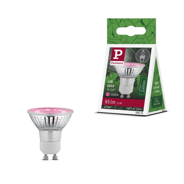 Grow Green Edition Filament 230V LED Reflektor GU10 95lm 3,5W 1100K Silber, Wachstumslicht