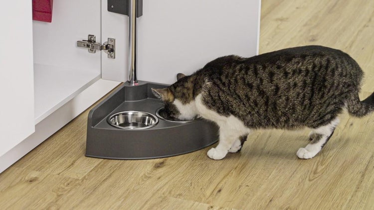 Katze frisst aus einer platzsparenden Futternapf-Halterung mit Edelstahlnäpfen, die an einer Schrankstütze in der Küche montiert ist.