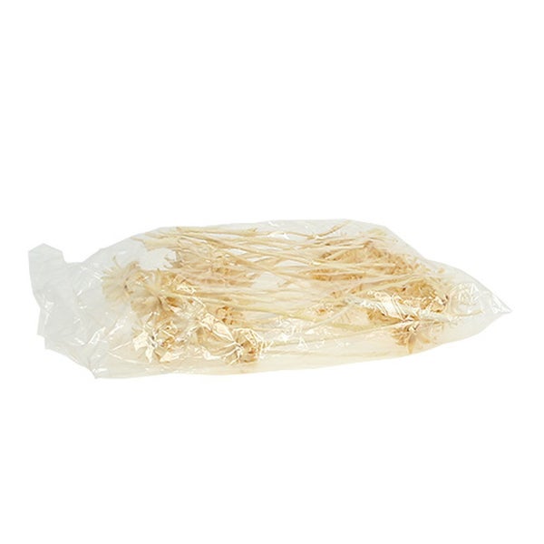 Trockenblumenstrauß in Plastikverpackung