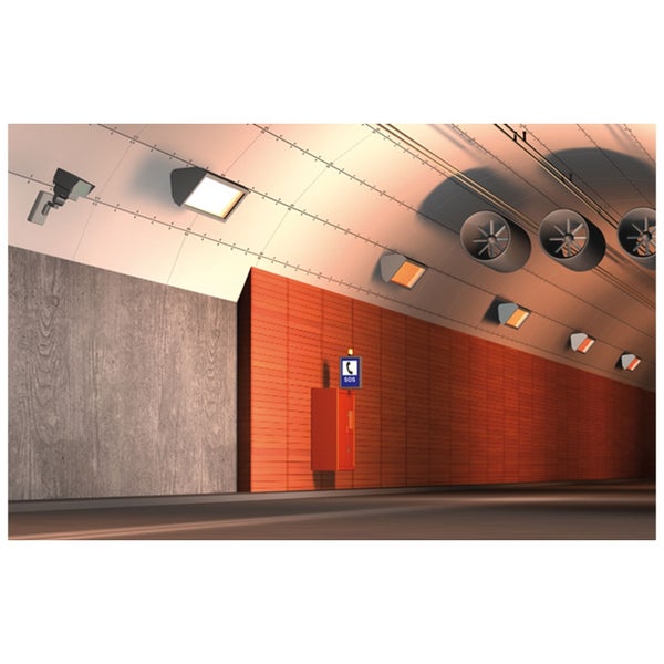 Schleifband für Bandschleifer, Körnung P80