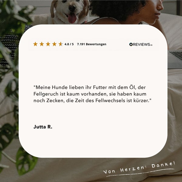 ALPHAZOO Premium Schwarzkümmelöl 250ml für Hunde I Echter Schwarzkümmel kaltgepresst