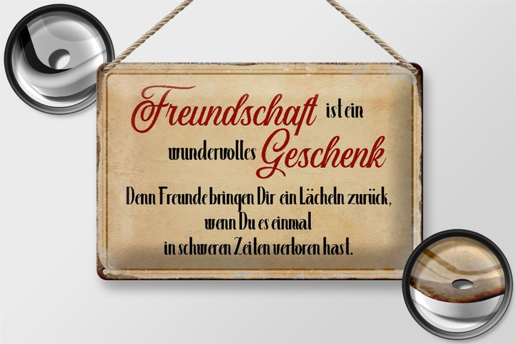 Blechschild Spruch 30x20cm Freundschaft ist ein wundervolles