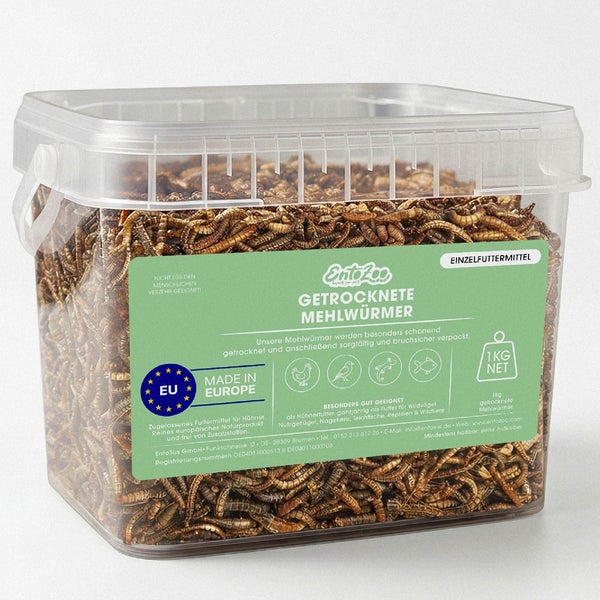 Durchsichtiger Kunststoffbecher mit 1 Kilogramm getrockneten Mehlwürmern als Ergänzungsfuttermittel für Vögel, Nagetiere und Reptilien.