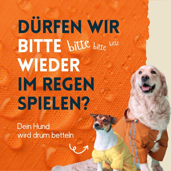 nimo® Imprägnierspray für Hundebekleidung • Versiegelung zum Schutz gegen Nässe und Schmutz