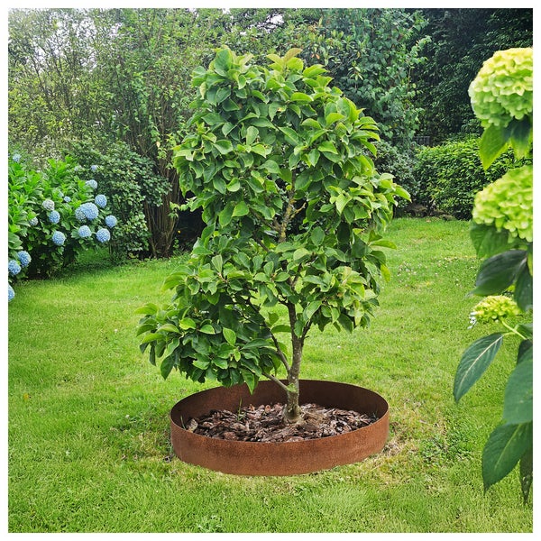 Ein Baum mit Baumscheibe aus Metall steht im Garten.