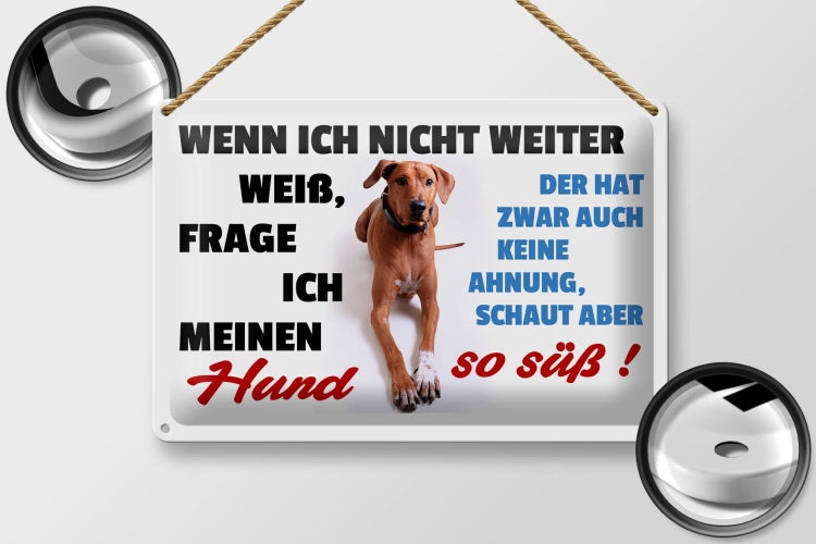 Blechschild Spruch 30x20cm wenn ich nicht weiter weiß Hund