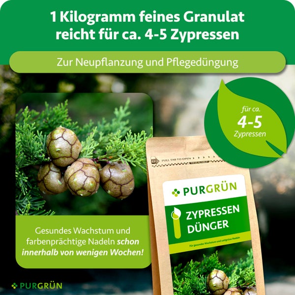 Purgrün Zypressendünger, 1 Kilogramm Granulat für circa 4 bis 5 Zypressen, für gesundes Wachstum, Neupflanzung und Pflegedüngung. Purgrün Logo.