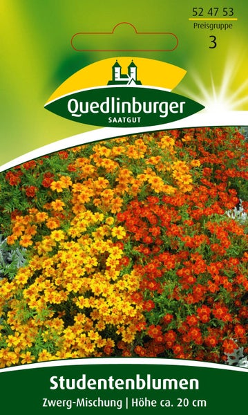 Samentüte Quedlinburger Saatgut Studentenblumen Zwerg-Mischung, Wuchshöhe circa 20 Zentimeter.