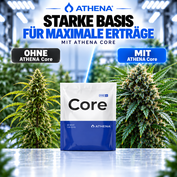 Athena Core Pro Pflanzendünger in der Verpackung. Werbebild zeigt den Vergleich zwischen Pflanzen ohne und mit dem Düngemittel für Ertragssteigerung.