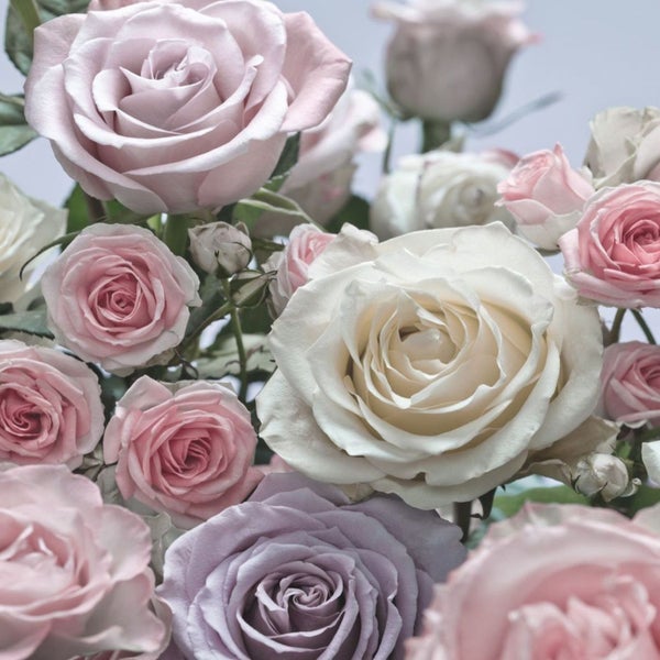 Nahaufnahme eines Blumenarrangements mit Rosen