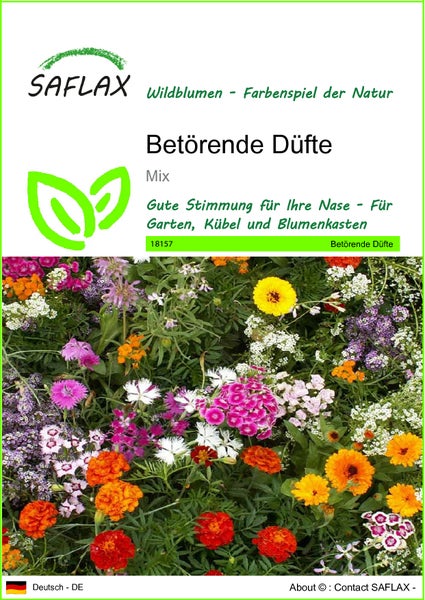 SAFLAX  - Betörende Düfte - Mix - 1000 Samen