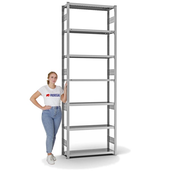 PROREGAL Fachbodenregal Stecksystem T-Profil Heavy-Duty Grundregal HxBxT 300 x 100 x 30 cm 7 Ebenen Fachlast 300 kg Beidseitig Nutzbar Verzinkt
