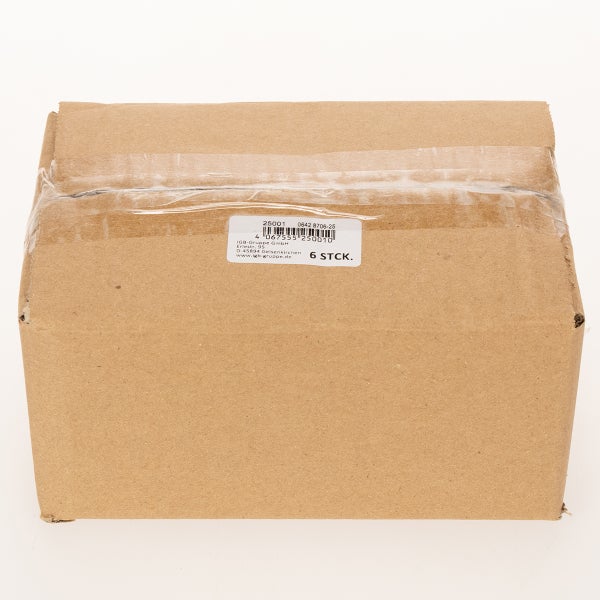 Karton mit sechs Stück Inhalt