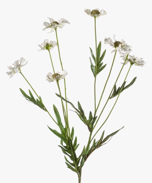 Künstliche Blume in Weiß mit grünem Stiel und gezackten Blättern.