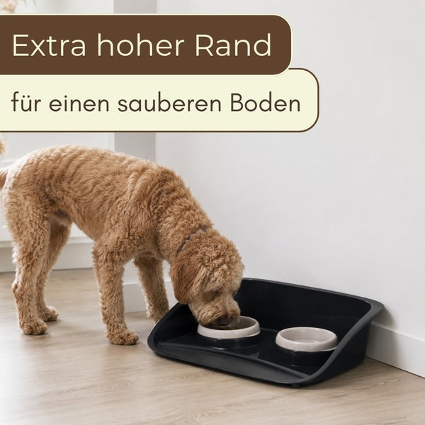 Ein Hund frisst aus einem Napf in einer Futterstation mit extra hohem Rand für einen sauberen Boden.