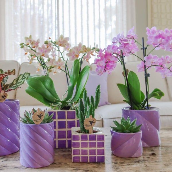 Übertopf-Trio Mosaik-Würfel - Set mit 3 bunten Töpfen - rosa-violett - für 6cm Töpfe