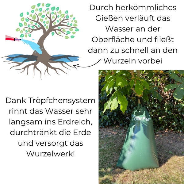 Darstellung eines Bewässerungssystems für Bäume mit Erläuterung zum Unterschied zwischen herkömmlichem Gießen und Tröpfchenbewässerung