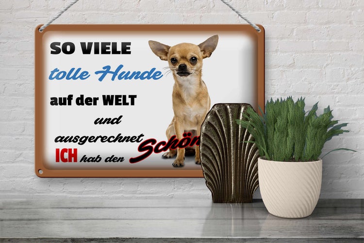 Blechschild Spruch 30x20cm ich hab den schönsten Hund