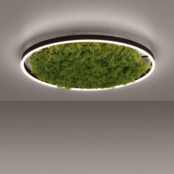 LED Deckenleuchte Green Ritus in Moos 28W 3650lm 585mm