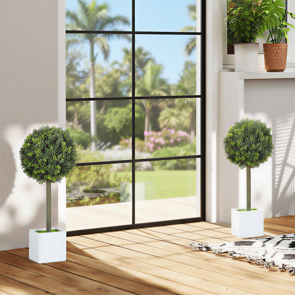 Zwei Buchsbaumkugeln im Topf dekorieren einen hellen Raum mit Holzboden.