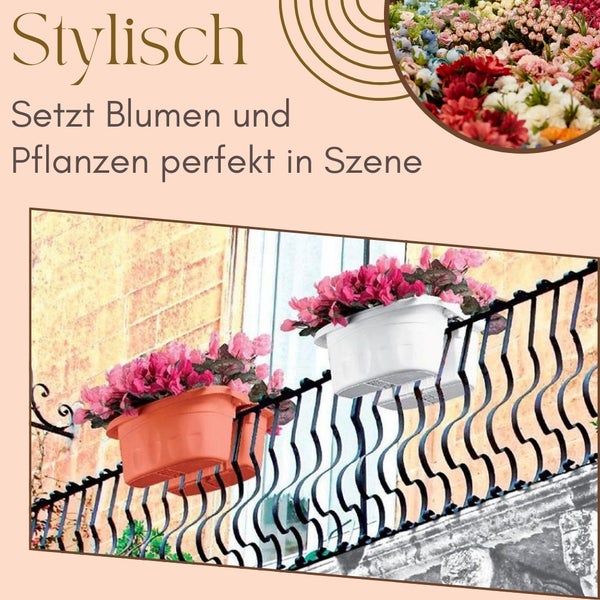 Balkonszene mit Blumenkästen an einem verzierten Geländer mit rosa Blüten