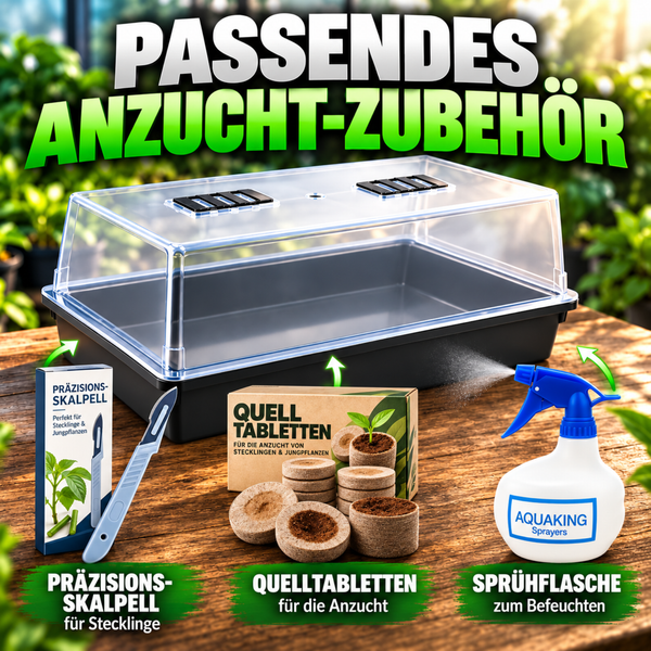 Anzuchtzubehör für die Pflanzenanzucht bestehend aus Zimmergewächshaus, Skalpell, Quelltabletten und Sprühflasche auf einem Holztisch.