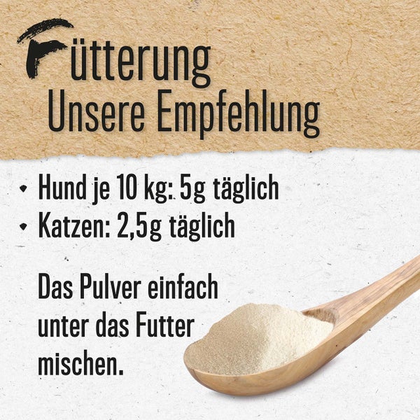 Dosierungsempfehlung für Tierfutter mit Pulver in einem Holzlöffel