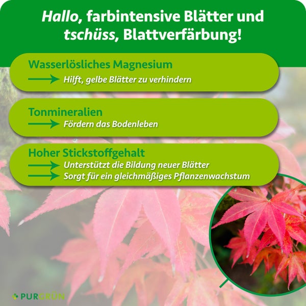 Infografik zum Purgrün Pflanzendünger mit Hinweisen zu wasserlöslichem Magnesium, Tonmineralien und Stickstoff für gesundes Pflanzenwachstum.