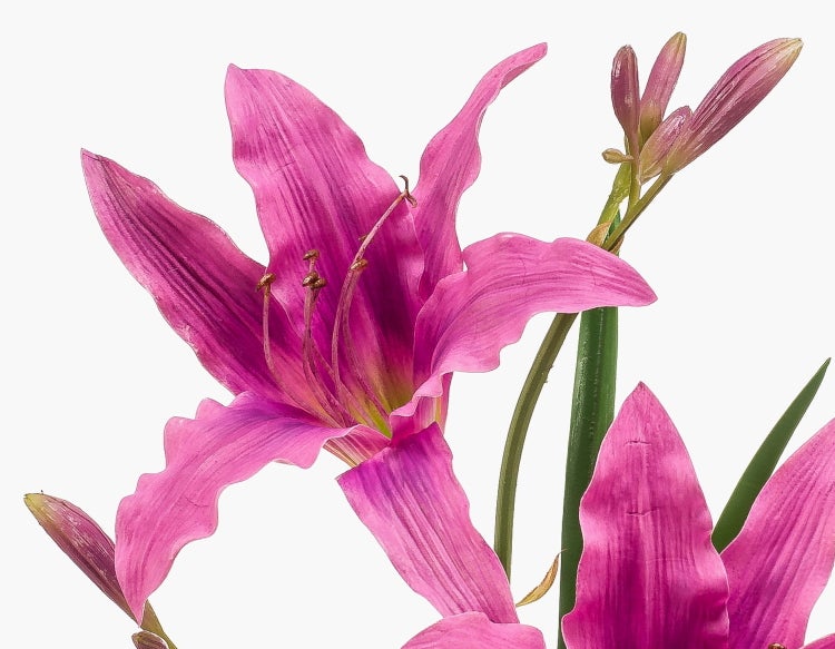 Künstliche Blume in Pink mit grünen Stielen