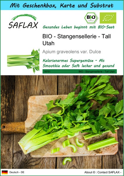 SAFLAX Geschenk Set - BIO - Stangensellerie - Tall Utah - Apium graveolens var. Dulce - 500 Samen - Mit Geschenkbox, Versandaufkleber, Geschenkkarte und Anzuchtsubstrat