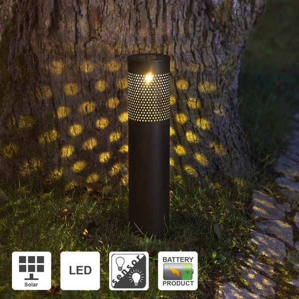 Dekorativer Papierstern mit filigranem Muster für stimmungsvolle Beleuchtung