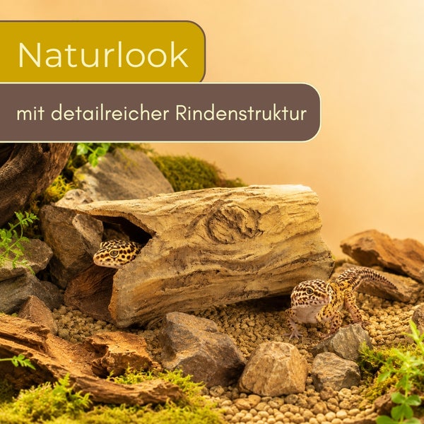 Terrarium-Versteck in natürlicher Holzstamm-Optik mit Rindenstruktur, abgebildet mit Leopardgeckos in einem gestalteten Terrarium.