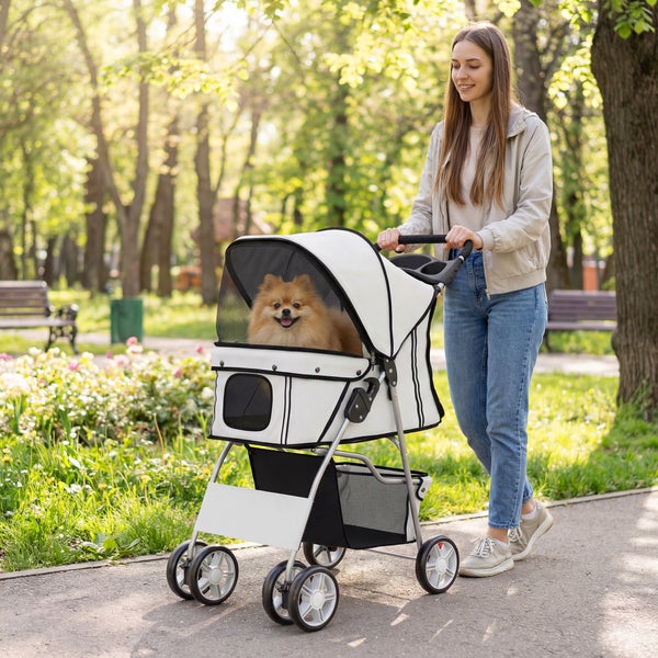 Frau schiebt einen weißen Hundebuggy mit einem kleinen Hund durch einen hellen, sonnigen Park auf einem Weg.