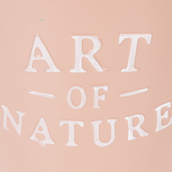 Art of Nature Logo