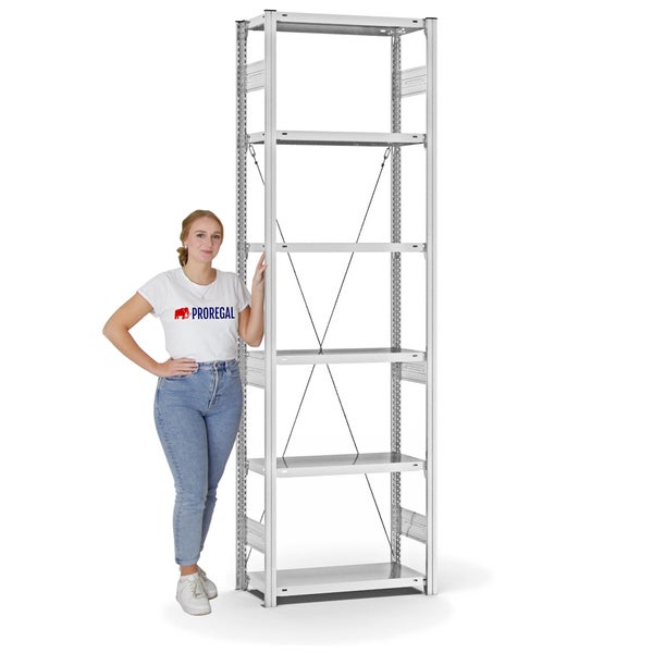PROREGAL Fachbodenregal Stecksystem T-Profil Medium-Duty Grundregal HxBxT 250 x 75 x 30 cm 6 Ebenen Fachlast 220 kg Einseitig Nutzbar Lichtgrau