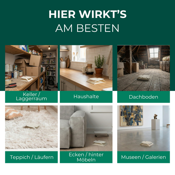 Anwendungsbereiche: Keller, Lagerraum, Haushalte, Dachboden, Teppich, Läufer, Ecken hinter Möbeln, Museen und Galerien
