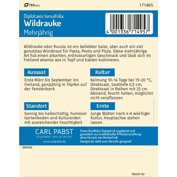 Wildrauke Rucola Samen von Pabst Keimkraft