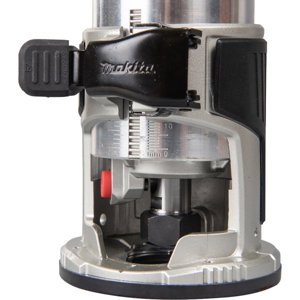 Informationen zur Engelstrompete Brugmansia suaveolens mit Artikelnummer, Barcode und botanischen Details