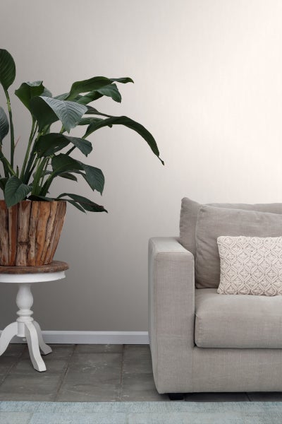 Dekoratives Wohnzimmer mit Pflanze in Holzkübel und Sofa