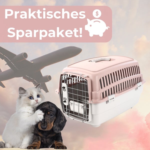 Haustiertransportbox mit Katze und Dackel im Sparpaket